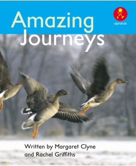 Amazing Journeys