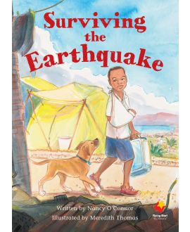 Surviving the Earthquake