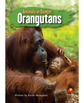 Animals in Danger: Orangutans