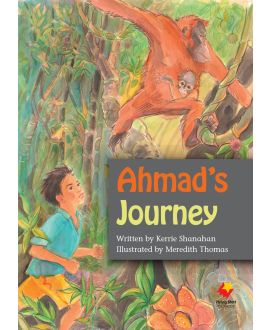 Ahmad’s Journey