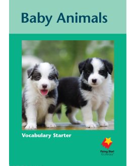 Baby Animals