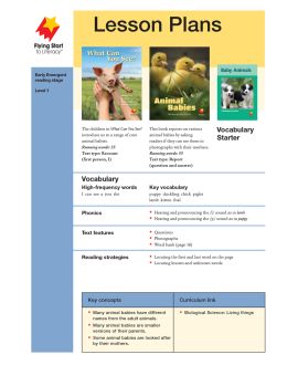 Lesson Plan - What Can You See? | Animal Babies LP