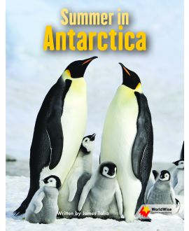Summer in Antarctica