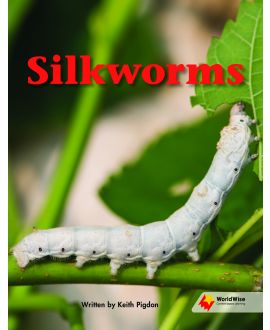 Silkworms