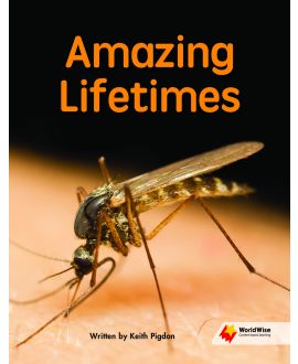 Amazing Lifetimes