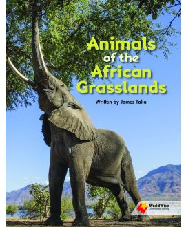 Animals of the African Grasslands