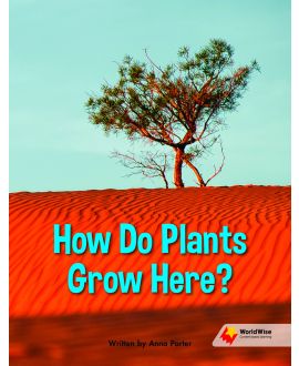 How Do Plants Grow Here?