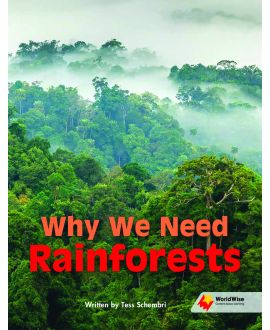 Why We Need Rainforests