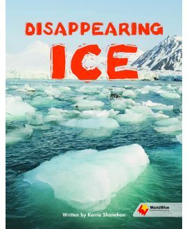 Disappearing Ice