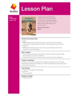 Lesson Plan - Champions of the Animal World