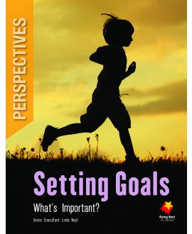 Setting Goals: What's Important?