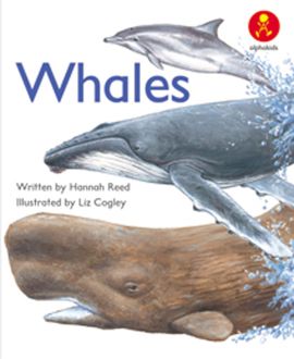 Whales