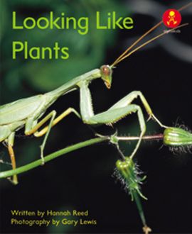 Looking like Plants