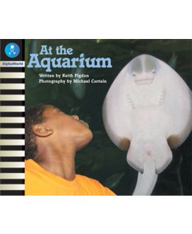 At the Aquarium
