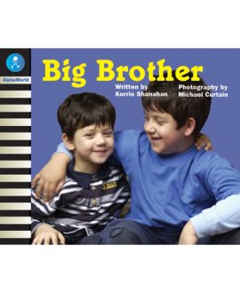Big Brother