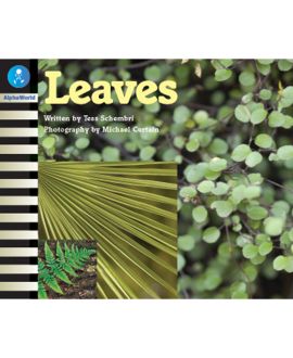 Leaves