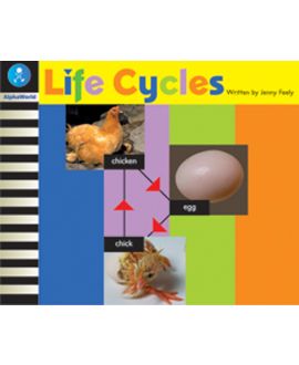 Life Cycles
