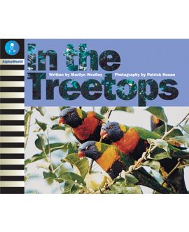 In the Treetops
