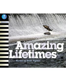 Amazing Lifetimes