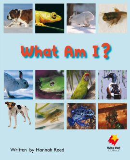 What Am I?