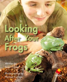 Looking After Your Frogs