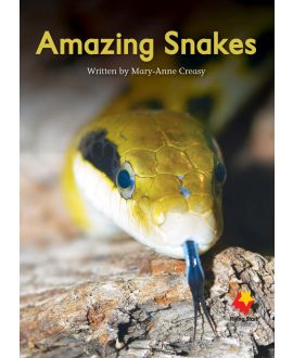 Amazing Snakes