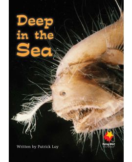 Deep in the Sea