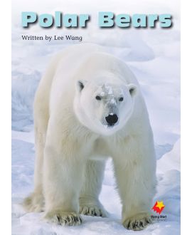 Polar Bears