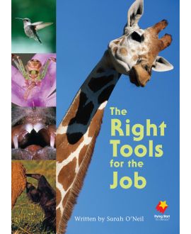 The Right Tools for the Job