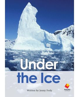 Under the Ice