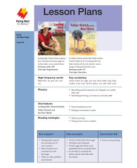 Looking After Ostrich Chicks/Father Ostrich and the New Chicks