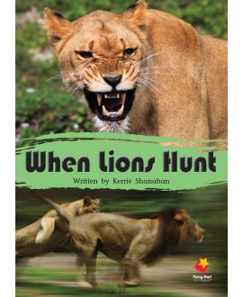 When Lions Hunt