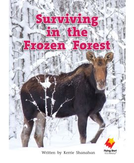 Surviving in the Frozen Forest