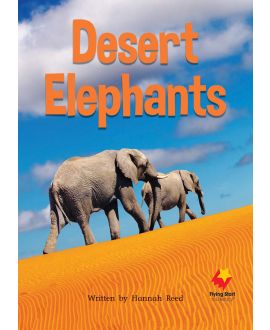 Desert Elephants