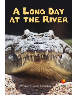 A Long Day on the River