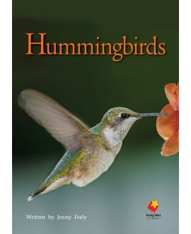 Hummingbirds