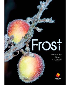 Frost