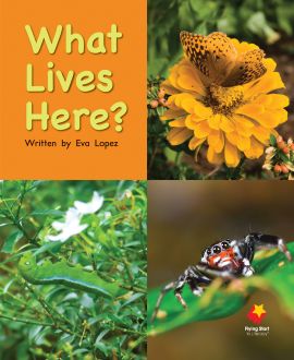 What Lives Here