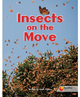 Insects on the Move