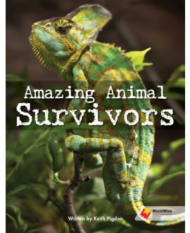 Amazing Animal Survivors