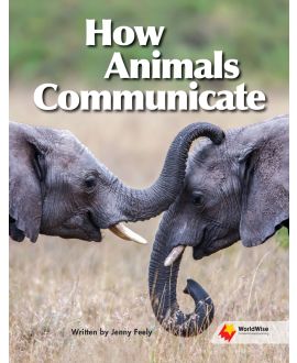 How Animals Communicate