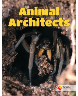 Animal Architects