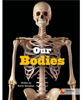 Our Bodies