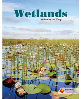 Wetlands