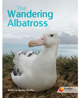 The Wandering Albatross