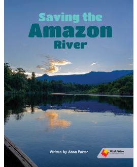Saving the Amazon River