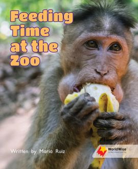 Feeding Time at the Zoo