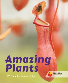 Amazing Plants