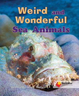 Weird and Wonderful Sea Animals