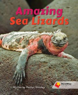 Amazing Sea Lizards